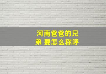 河南爸爸的兄弟 要怎么称呼